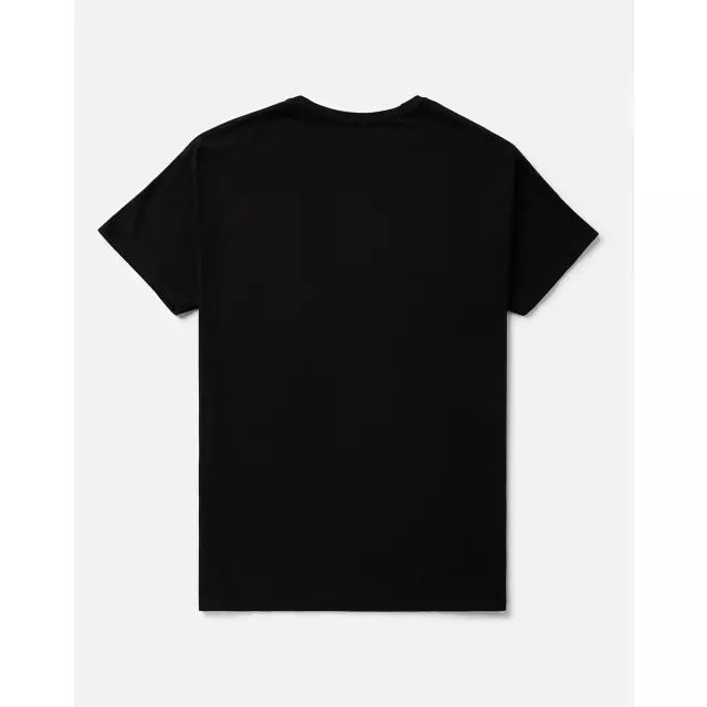 The Legend of Zelda Tears of the Kingdom T Shirt