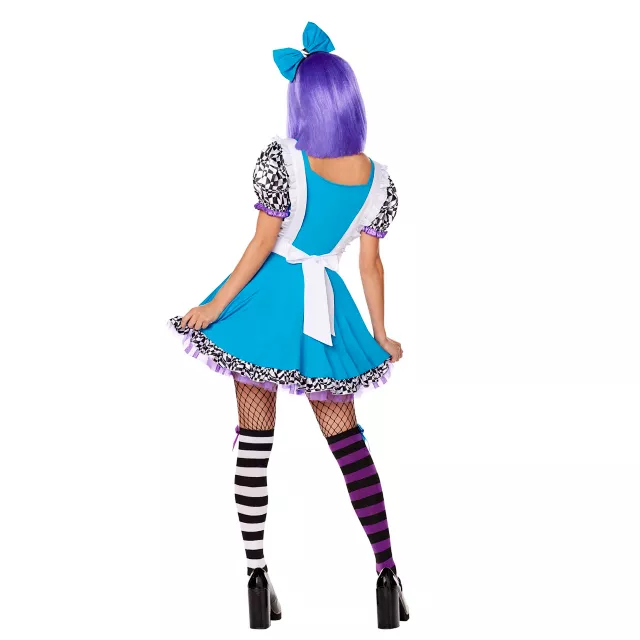 Adult Alice Down the Rabbit Hole Costume
