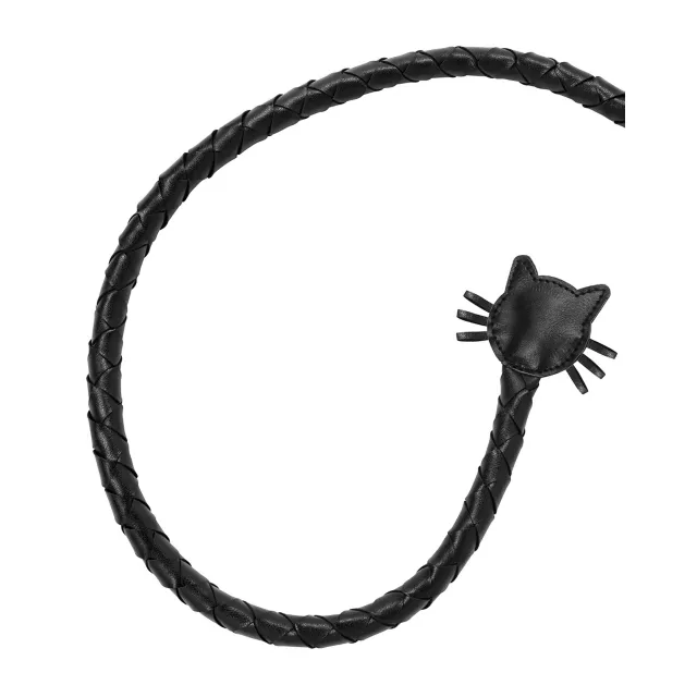 Catwoman Whip- DC Villains