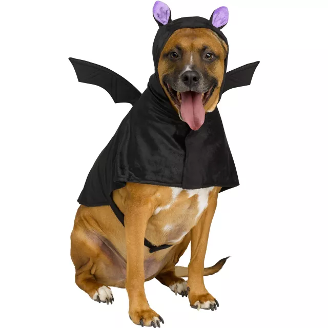 Bat Pet Costume