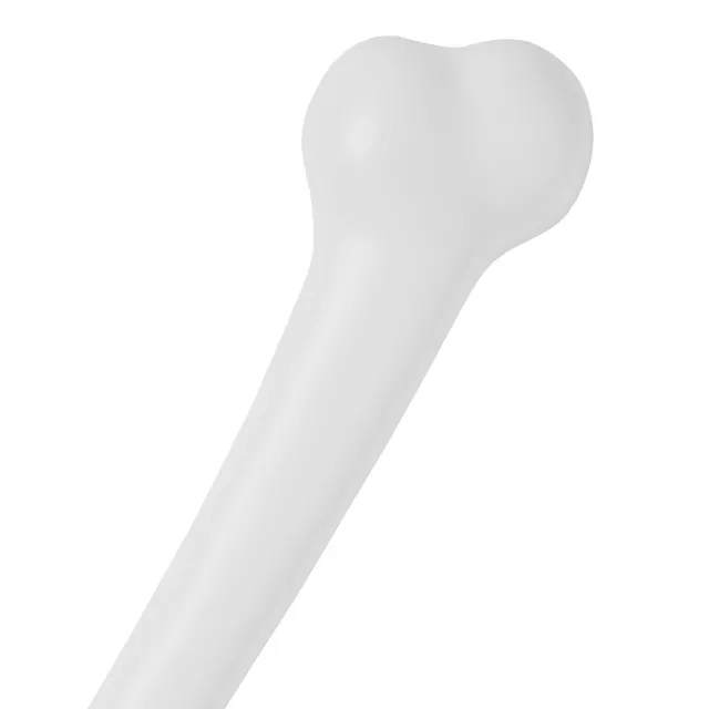 17 Inch Bone