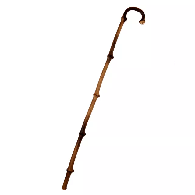 Walking Cane