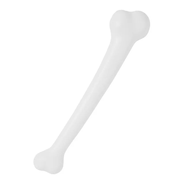 17 Inch Bone