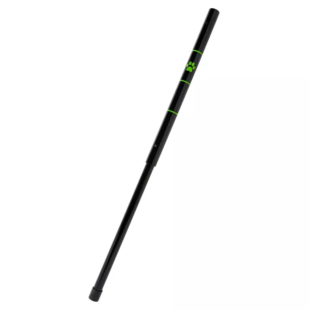 Cat Noir Staff - Miraculous Ladybug
