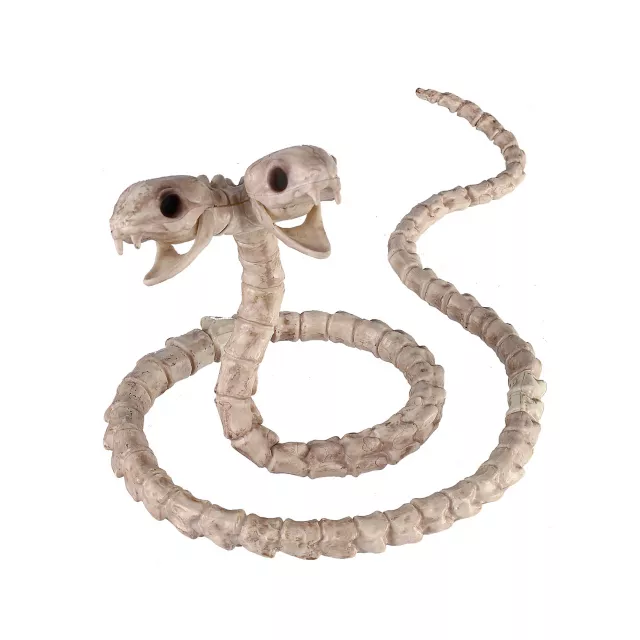 Two-Headed Snake Skeleton - Decorations