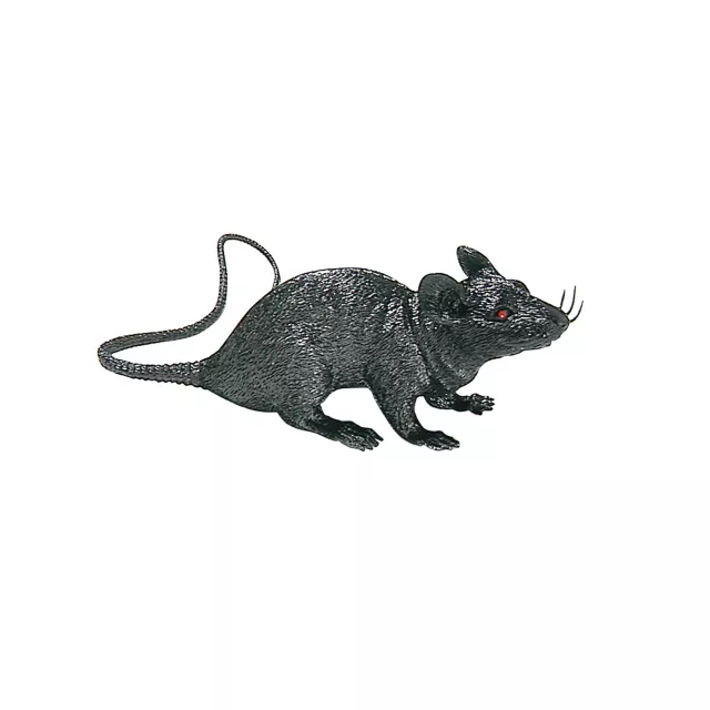 Squeaky Rat