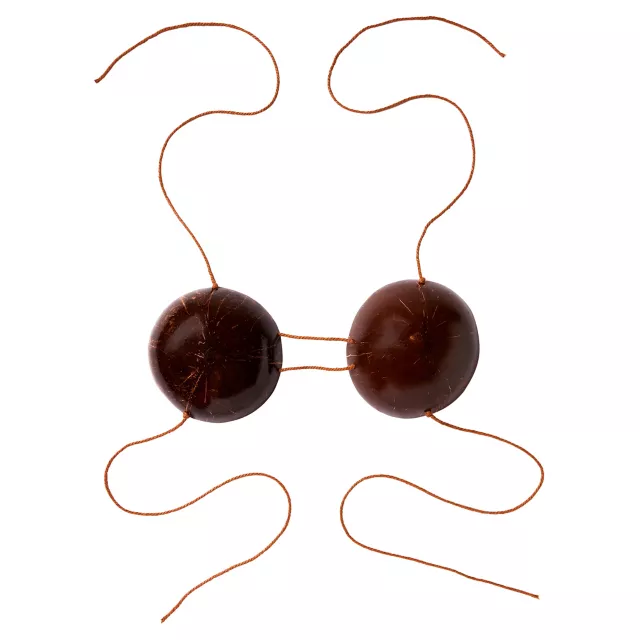 Coconut Bra