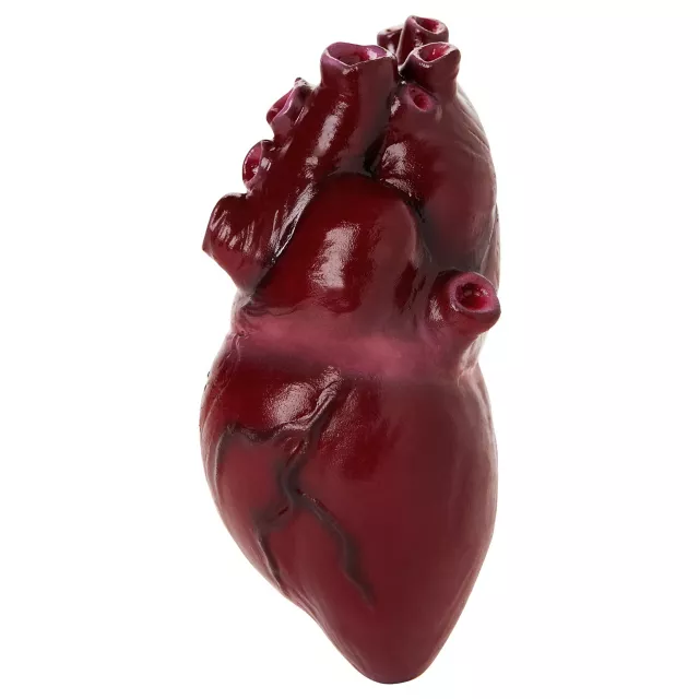 Bloody Heart