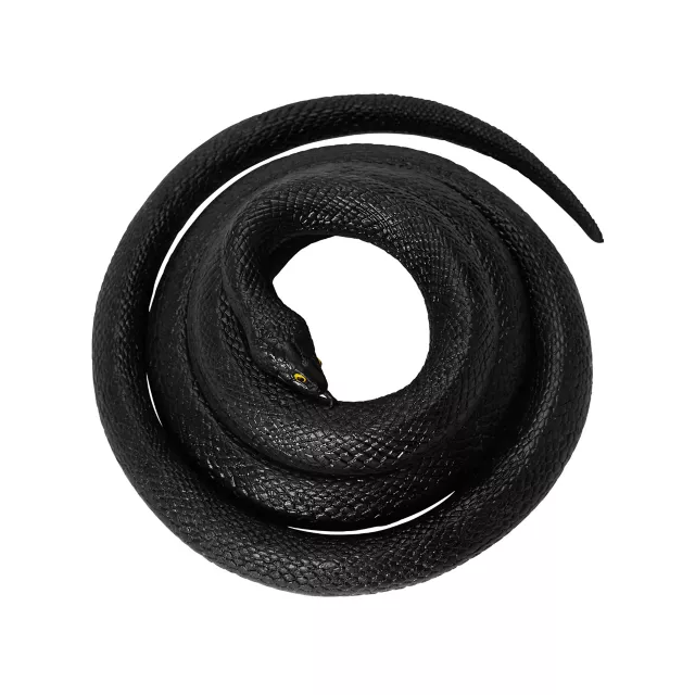Slithering Snake