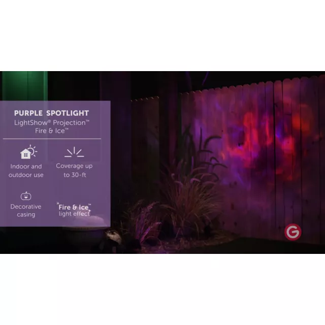 Purple Fire and Ice Spotlight