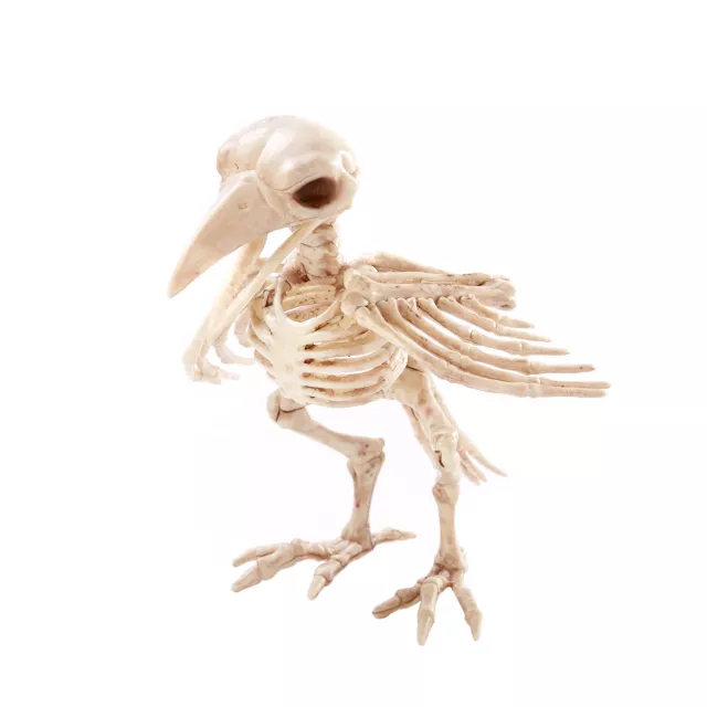 Skeleton Crow