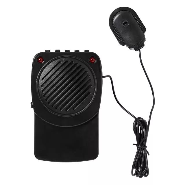 Voice Changer