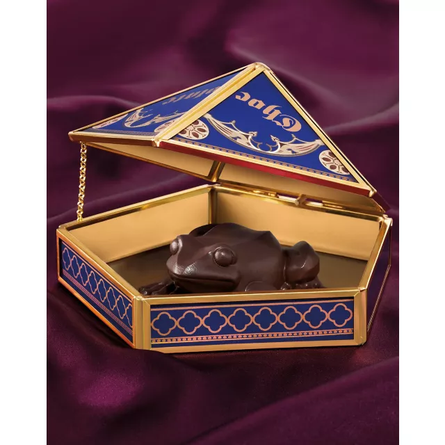 Chocolate Frog Trinket Tray - Harry Potter