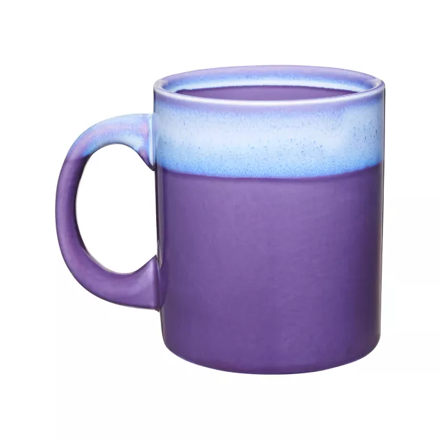 Mystical Arts Purple Beetle Mug