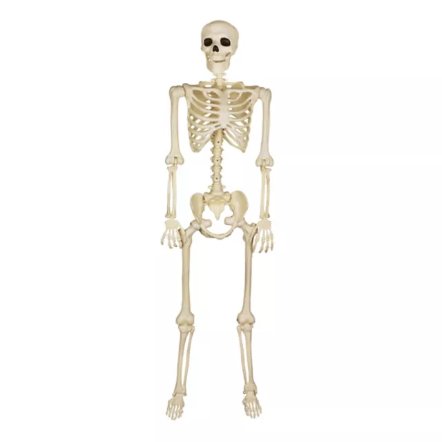 5 Ft Black Light Pose 'N' Stay Skeleton
