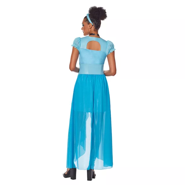 Adult Cinderella Dress Costume- Disney Princess