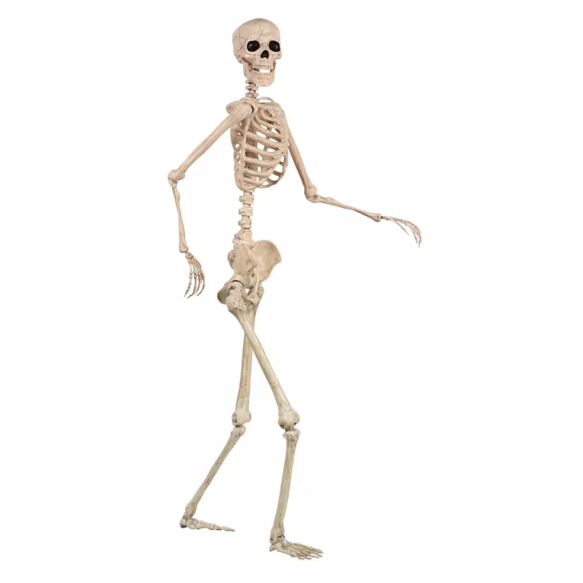 5 Ft Pose 'N' Stay Skeleton