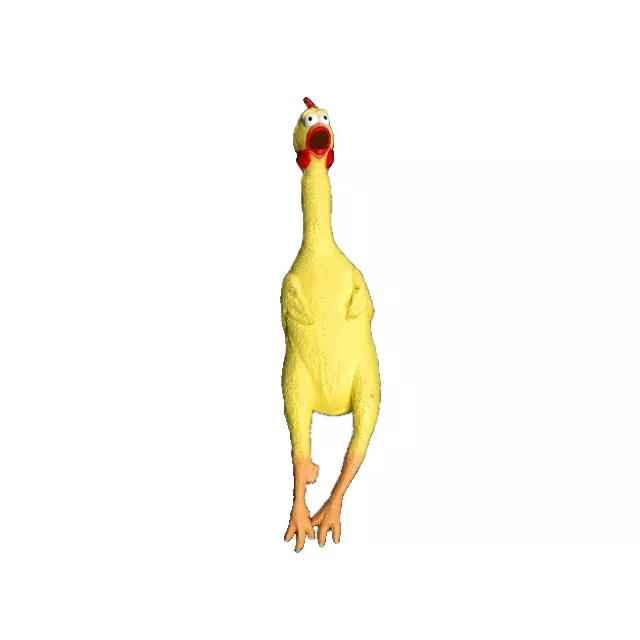 Squeaking Rubber Chicken