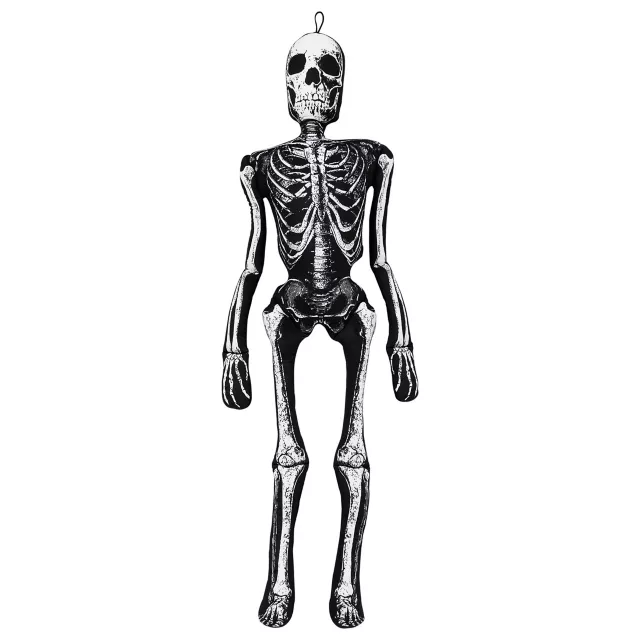 5.25 Ft Ossa Bones Comfy Curiosity