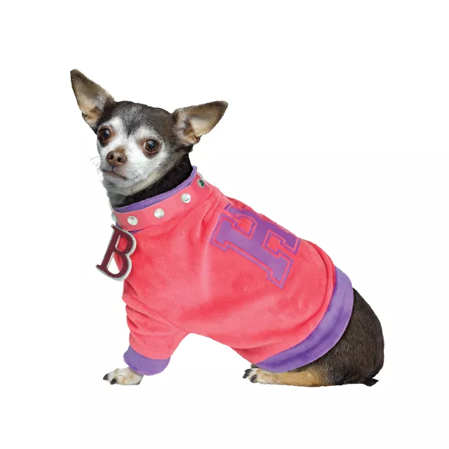 Legally Blonde Pet Costume