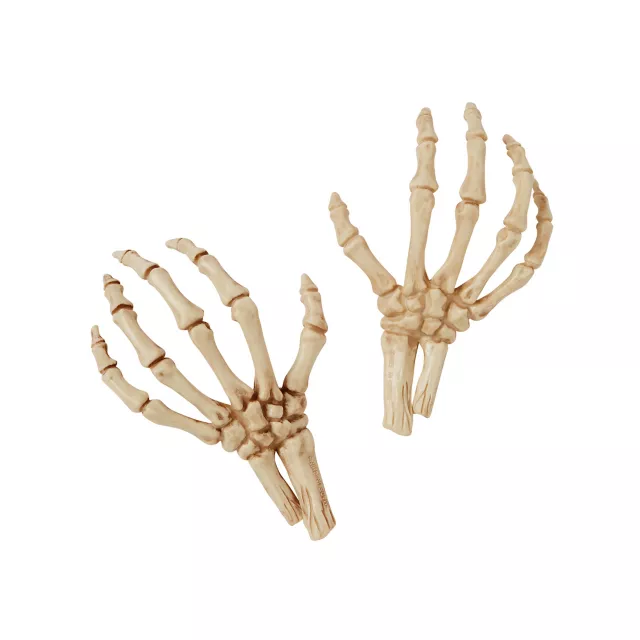 Skeleton Hands