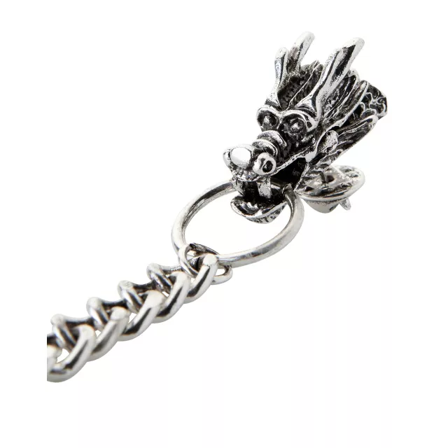 Dragon Cloak Clips