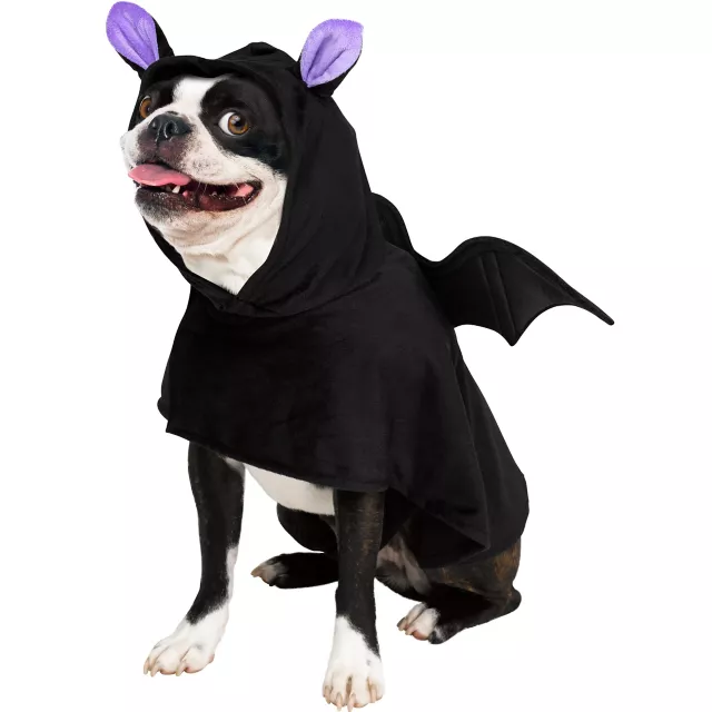 Bat Pet Costume