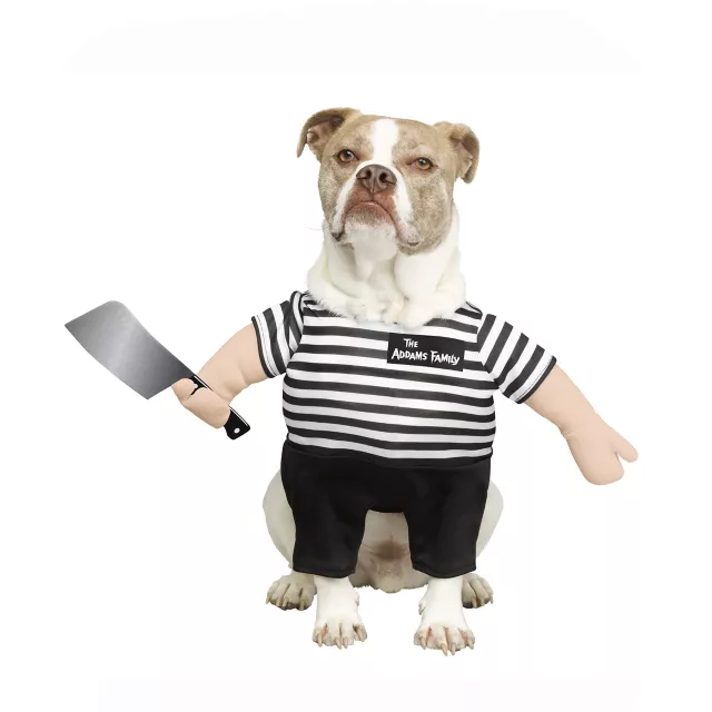 Pugsley Addams Pet Costume - The Addams Family