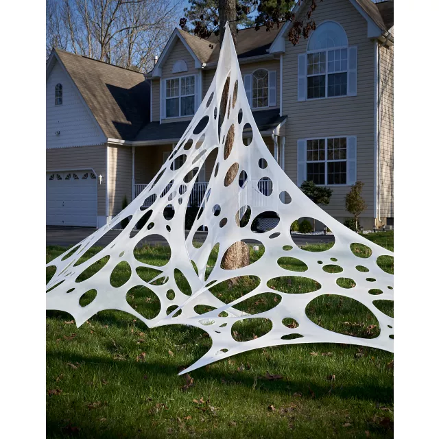 Wicked Webbing