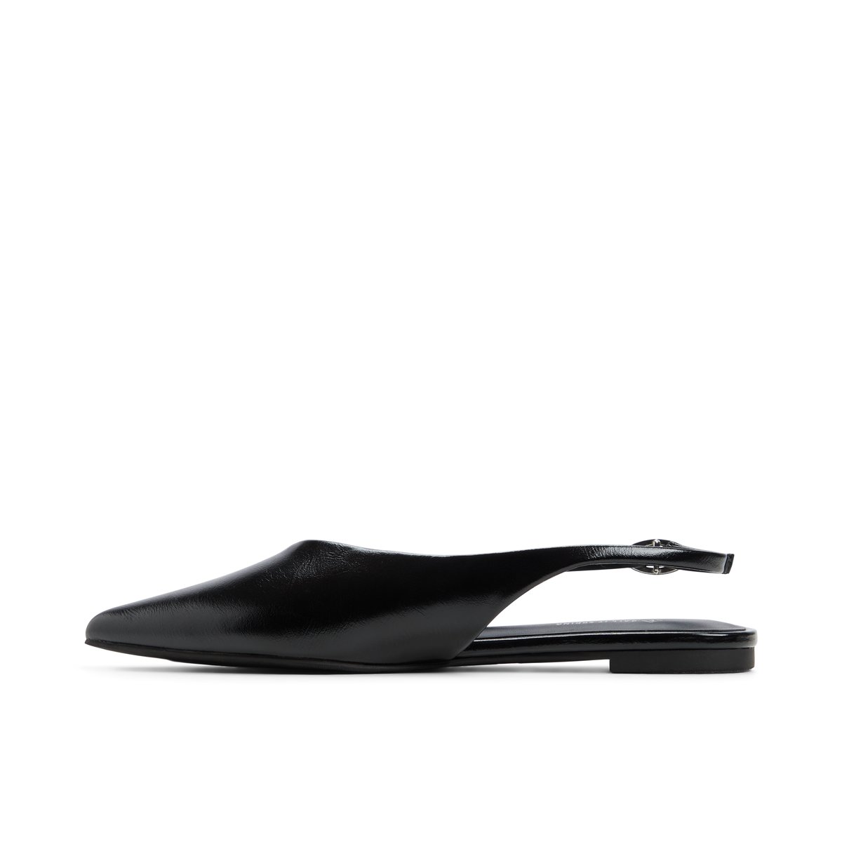 Astride Other Black Women's Ballerinas