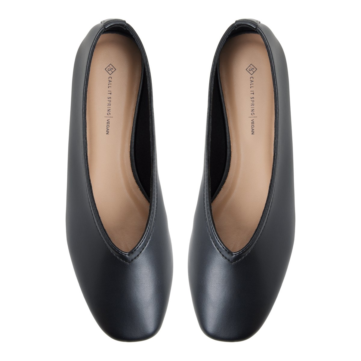 Eleynora Black Women's Ballerinas