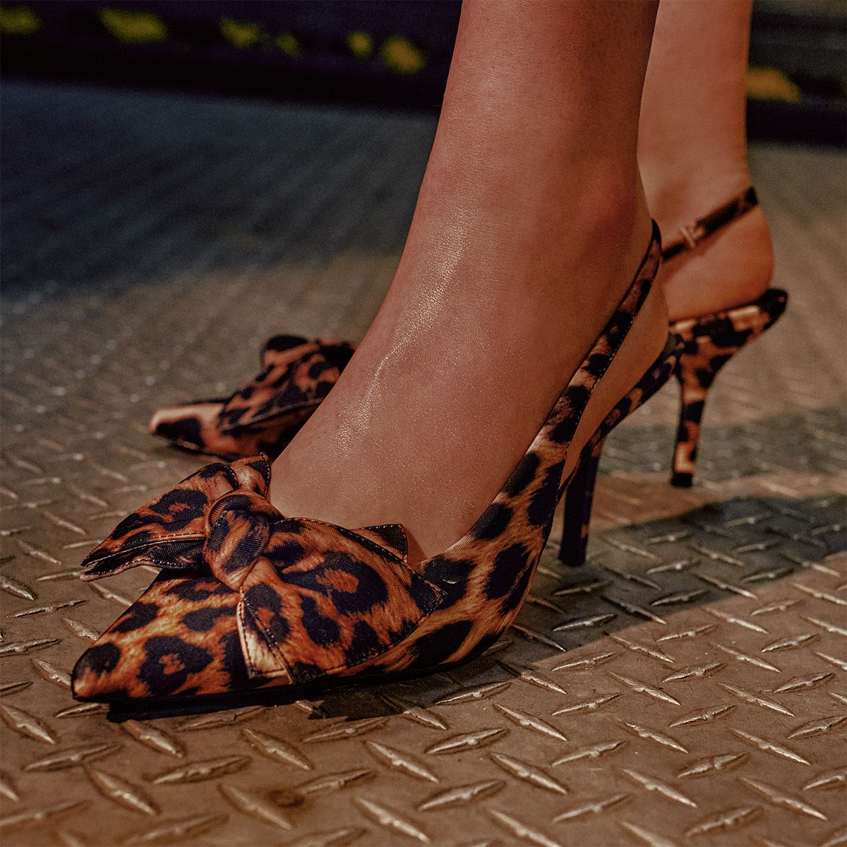 Atheena Brown Multi Women's Animal Print