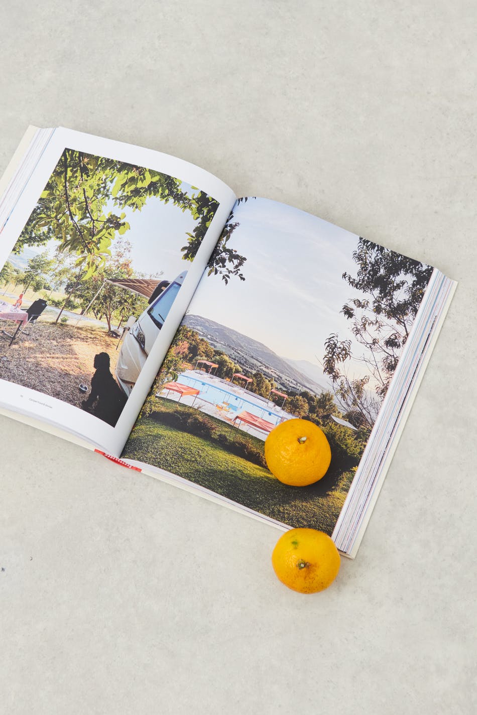 Camper Food &Amp; Stories Italy Book