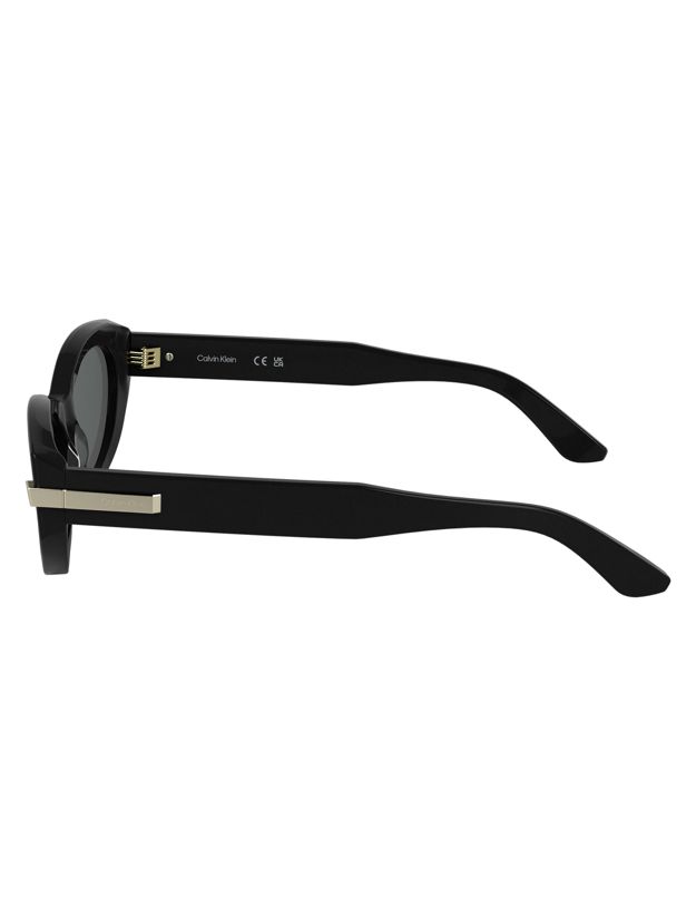 Cat Eye Sunglasses CK25502S
