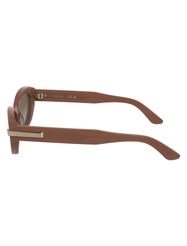 Cat Eye Sunglasses CK25502S