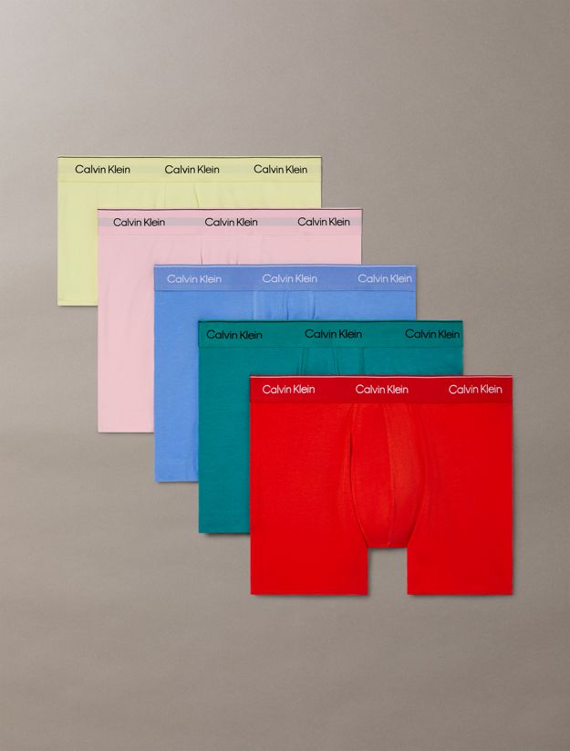 5 Pack Boxer Briefs - Icon Pride