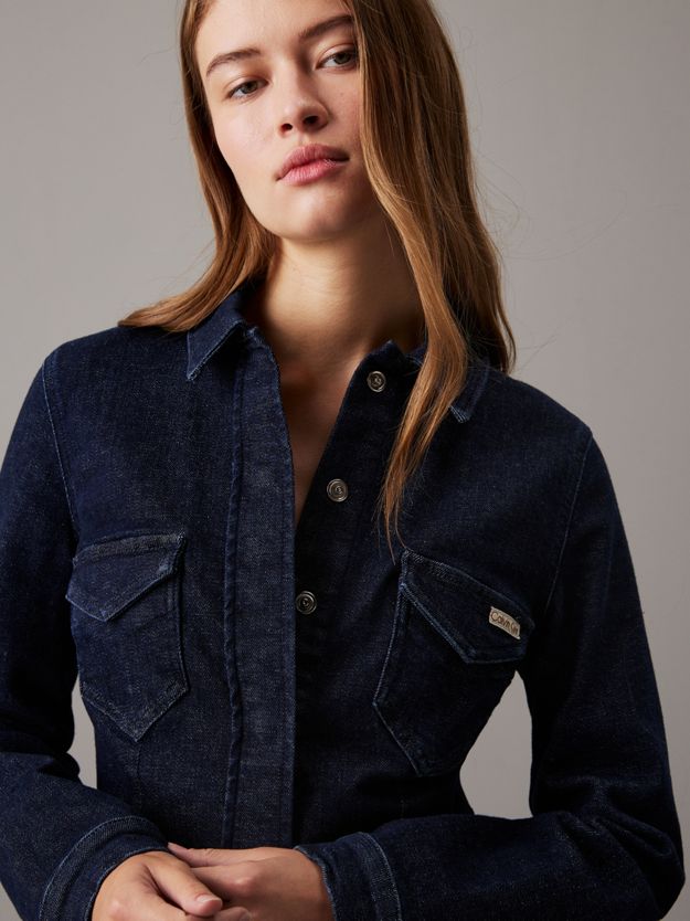 Fitted Denim Shirt Dress