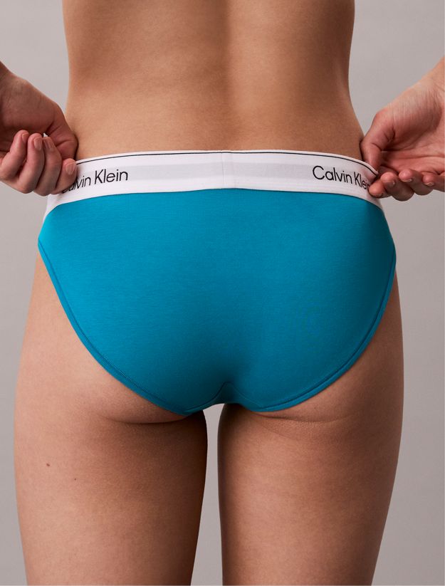 Bikini Briefs - Icon Cotton Modal