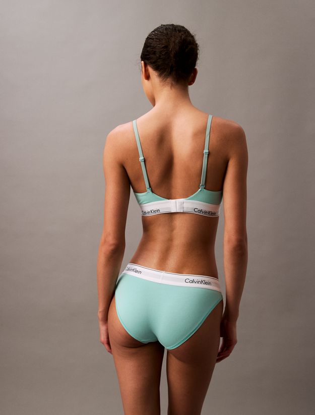 Bikini Briefs - Icon Cotton Modal