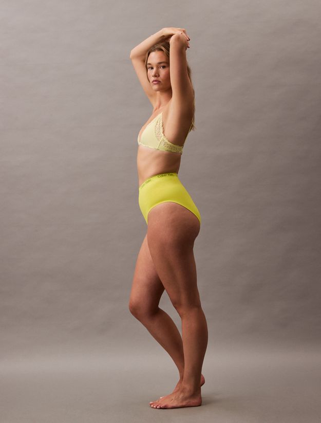 Shapewear Briefs - Icon