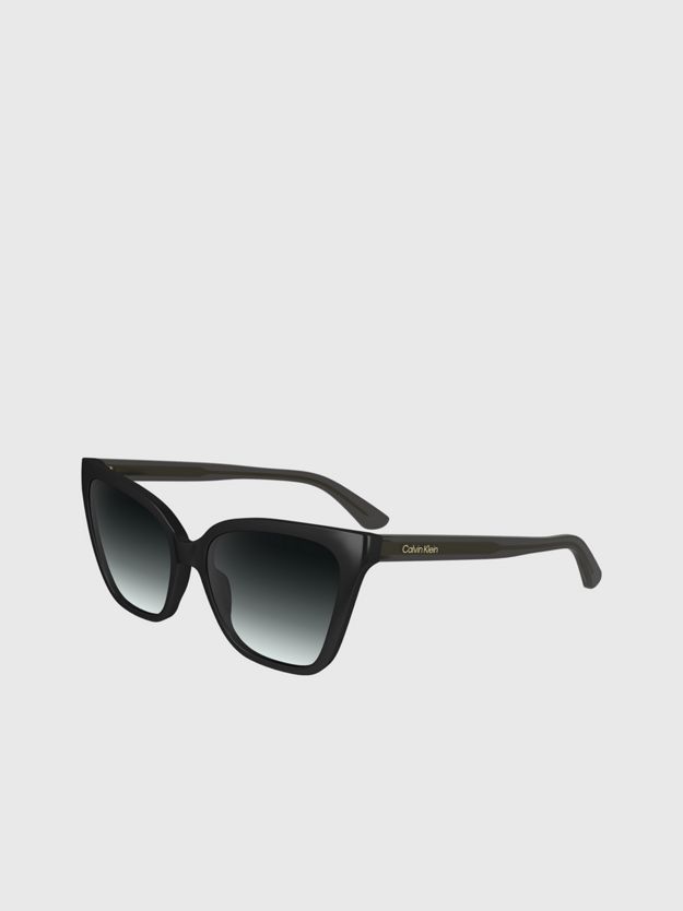 Cat Eye Sunglasses CK24507S