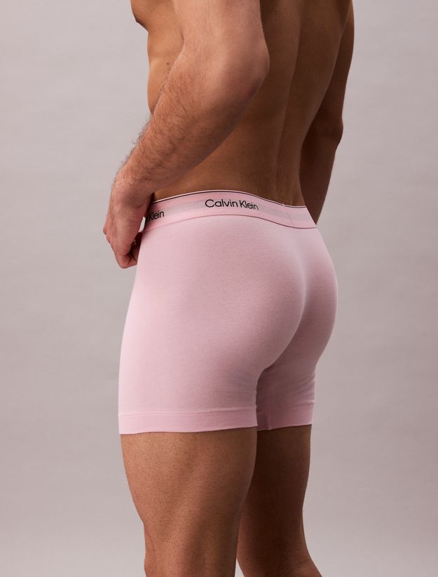 5 Pack Boxer Briefs - Icon Pride