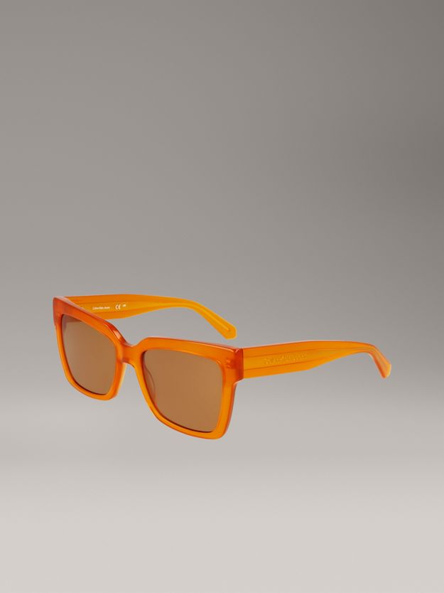 Modified Rectangle Sunglasses CKJ24606S