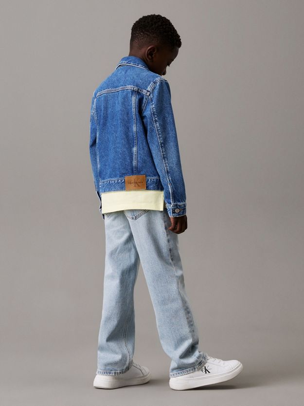 Slim Denim Trucker Jacket