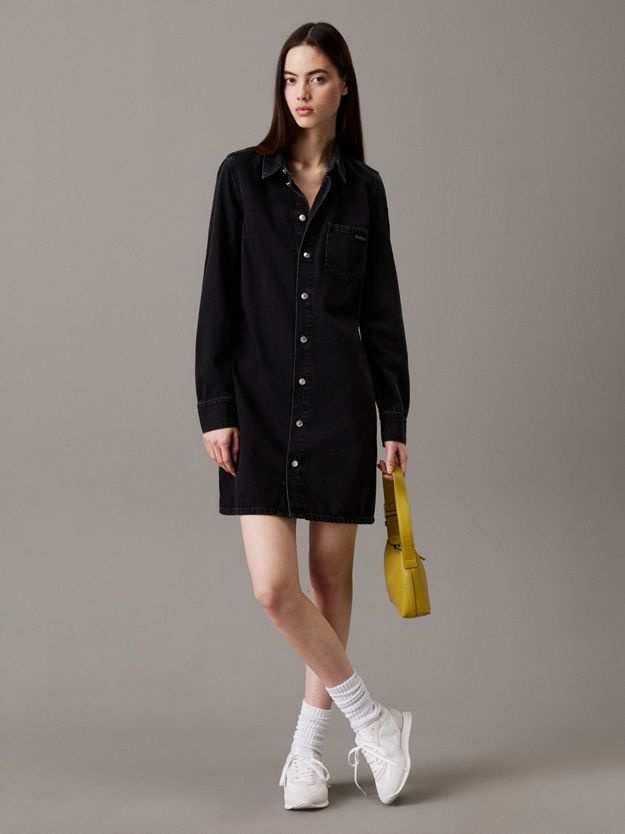 Fitted Denim Shirt Dress