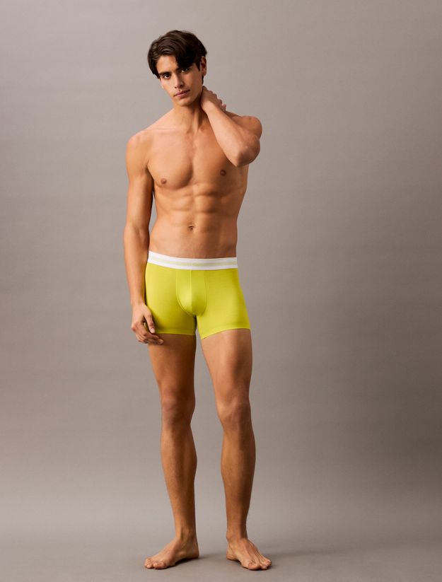 Trunks - Icon Modal Mesh