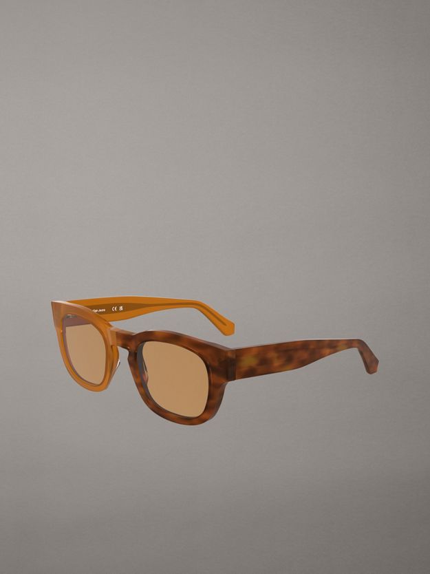 Round Sunglasses CKJ25601S