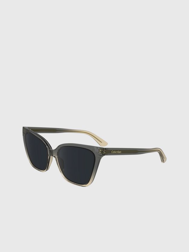 Cat Eye Sunglasses CK24507S