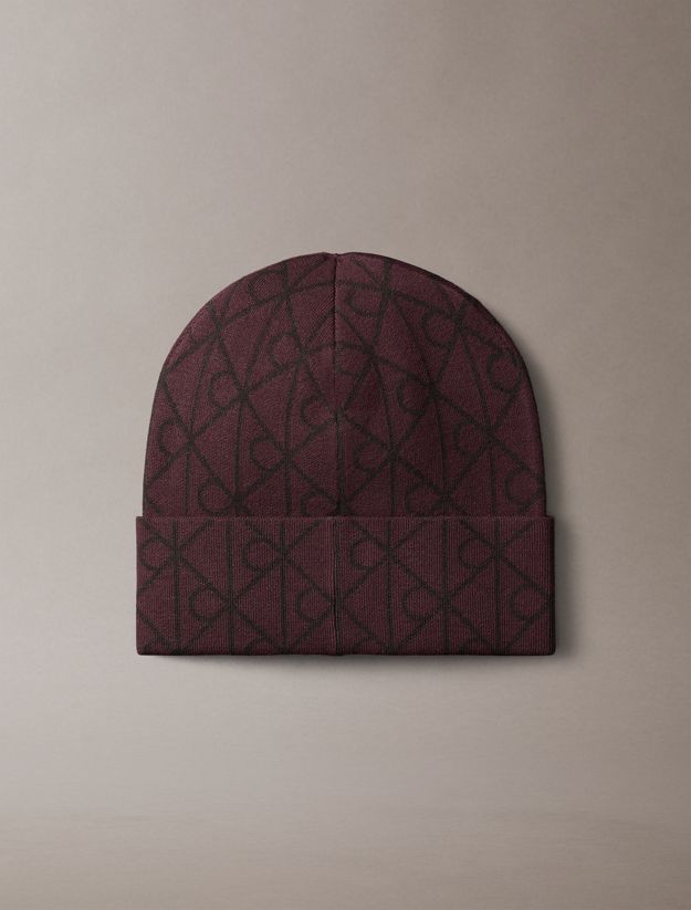 Emblem Logo Beanie