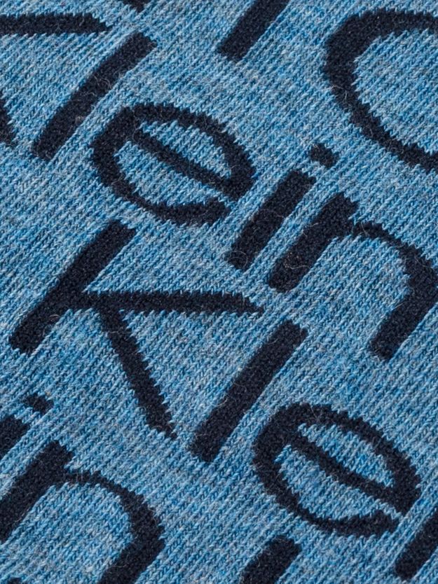 2 Pack Logo Ankle Socks